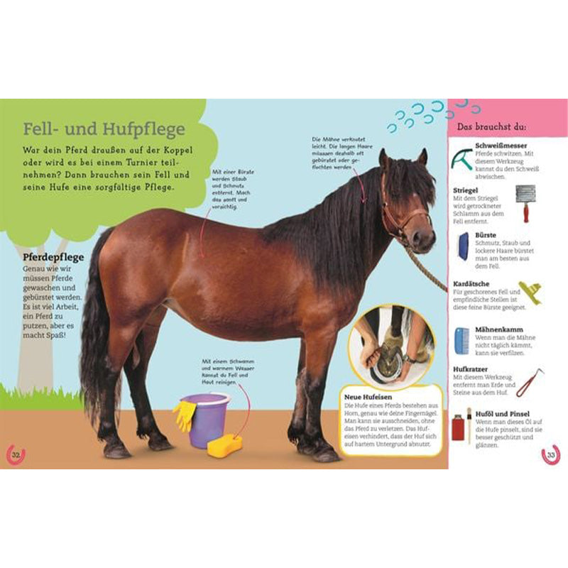 Buchseite: Ein braunes Pferd steht auf einer Fläche, daneben Eimer und Bürsten; Infografiken erklären Fell- und Hufpflege.
