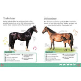 Buchseite: Zwei Pferderassen im Vergleich – Trakehner und Holsteiner – mit Fotos und Steckbriefen zu Herkunft und Eigenschaften.