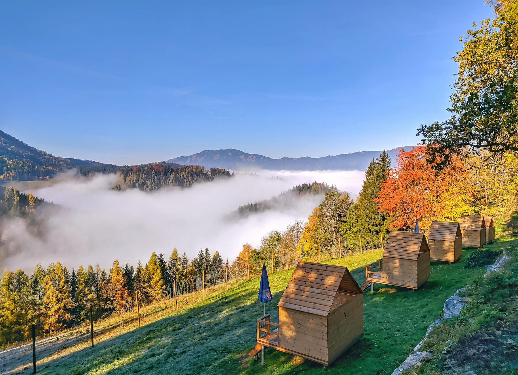 Picknickhütten mit Aussicht_Waldpark Hochreiter