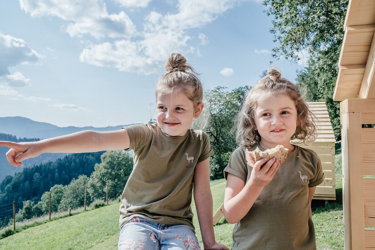 Picknickwiese jausnen_Waldpark Hochreiter