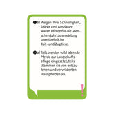 Rückseite einer Quizkarte mit den Antworten und kurzen Erklärungen zu Pferdefragen.