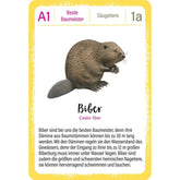 Spielkarte mit Illustration eines Bibers und Text über seine Dämme und Lebensweise.