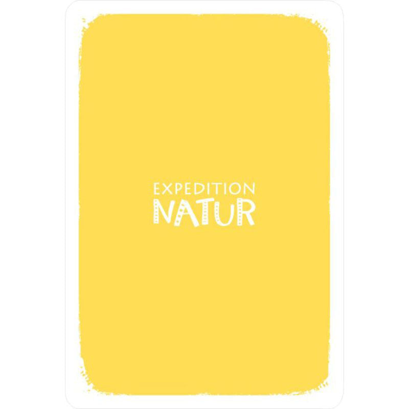Rückseite der Spielkarten mit gelbem Hintergrund und Schriftzug „Expedition Natur“