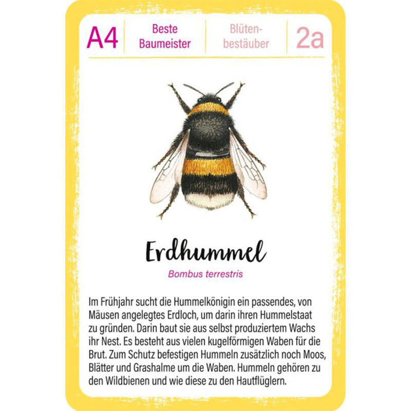 Spielkarte mit Illustration einer Erdhummel und Text über Nestbau und Lebensweise.