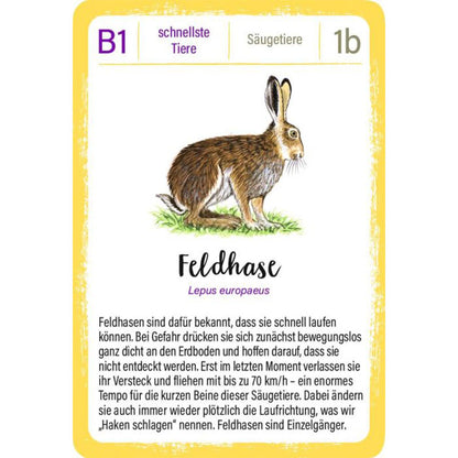Spielkarte mit Illustration eines Feldhasen und Text über seine Schnelligkeit