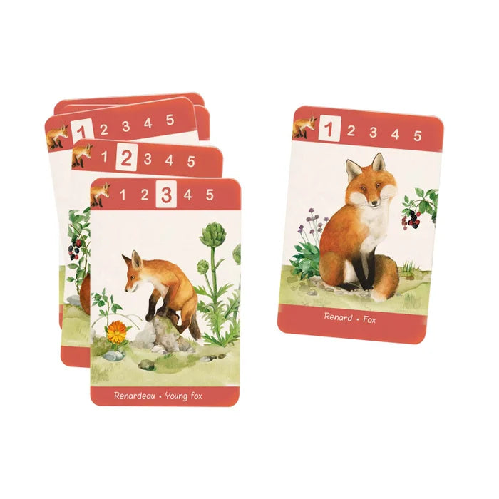 Fuchsfamilie aus dem Quartettspiel für Kinder