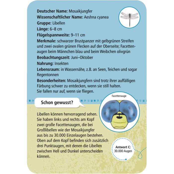 Rückseite der Entdeckerkarte Mosaikjungfer aus dem Spiel 50 Insekten und Spinnen