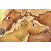 Buchseite: Zwei hellbraune Ponys mit heller Mähne stehen dicht beieinander und schauen nach vorn.