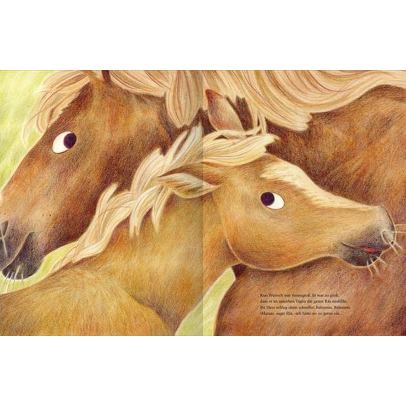 Buchseite: Zwei hellbraune Ponys mit heller Mähne stehen dicht beieinander und schauen nach vorn.