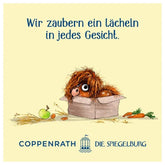 Ein zotteliges Pony sitzt in einem Karton, umgeben von Heu, einem Apfel und Karotten. Darüber steht der Text: Wir zaubern ein Lächeln in jedes Gesicht. Unten ist das Logo von Coppenrath Die Spiegelburg abgebildet.
