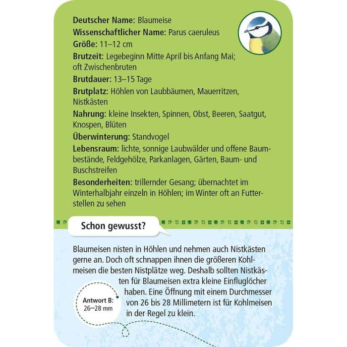 Rückseite der Entdeckerkarte Blaumeise aus dem Spiel 50 heimische Vögel