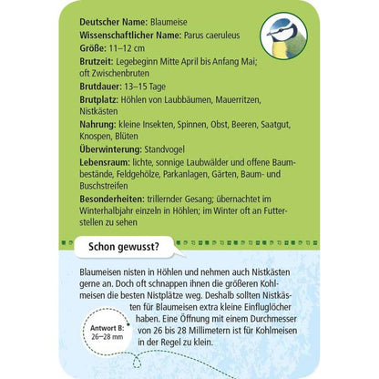  Rückseite der Entdeckerkarte Blaumeise aus dem Spiel 50 heimische Vögel