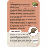 Rückseite der Entdeckerkarte Biber aus dem Spiel 50 Tierspuren