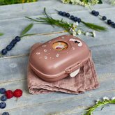 Snackbox Fuchs schön drapiert auf einem Tisch mit Beerensnacks