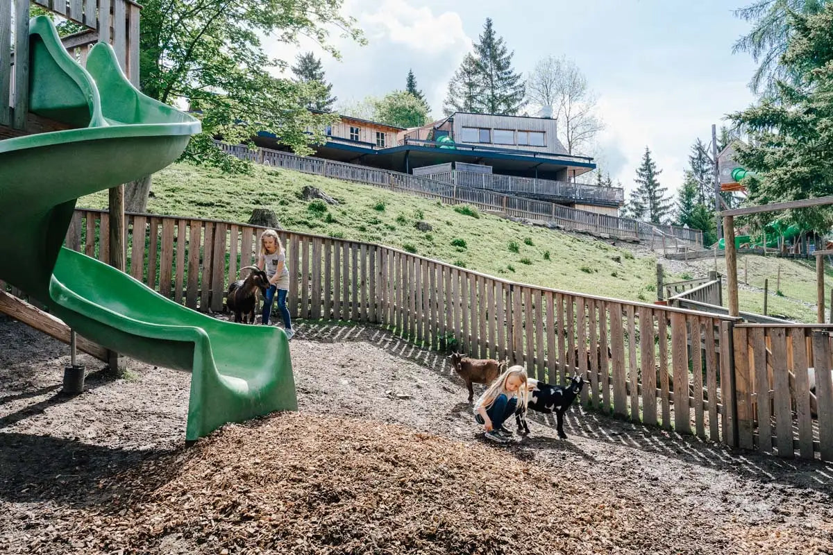 Streichelzoo Walpark Hochreiter