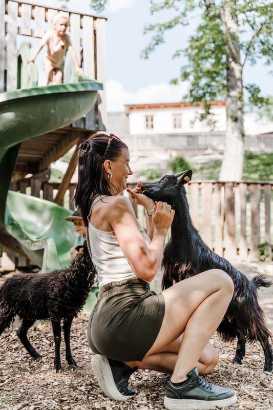 Streichelzoo hungrige Ziege
