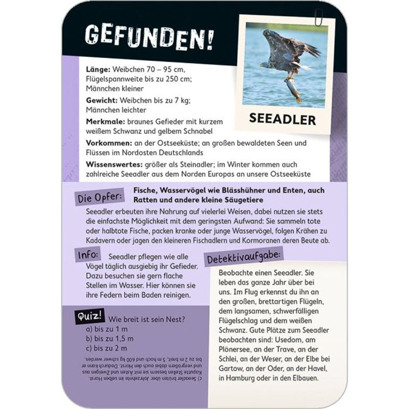 Kartenrückseite „Tatort Natur“ – Gefunden: Der Seeadler. Infos zu Größe, Gewicht, Merkmalen, Vorkommen, Beute, Verhalten und Quizfrage.