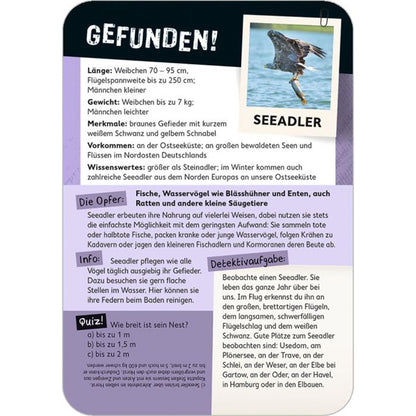 Kartenrückseite „Tatort Natur“ – Gefunden: Der Seeadler. Infos zu Größe, Gewicht, Merkmalen, Vorkommen, Beute, Verhalten und Quizfrage.