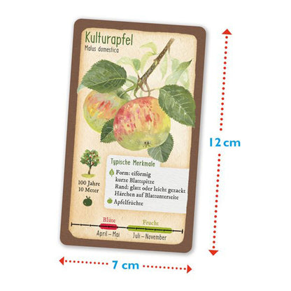 Karte mit Illustration eines Kulturapfels, botanischen Details und typischen Merkmalen, daneben Maßangaben.