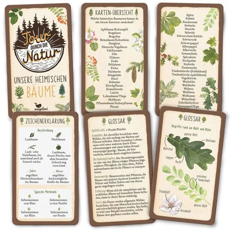 Übersicht verschiedener Karten des Sets mit Illustrationen, Glossar und Zeichenerklärung.