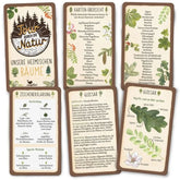 Übersicht verschiedener Karten des Sets mit Illustrationen, Glossar und Zeichenerklärung.