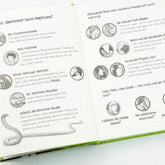 Buchseite: Übersicht der Charaktere – Porträts von Lehrern, Schülern und magischen Tieren mit kurzen Beschreibungen, z. B. Miss Cornfield, Mister Morrison und Ashanti, die schwarze Mamba