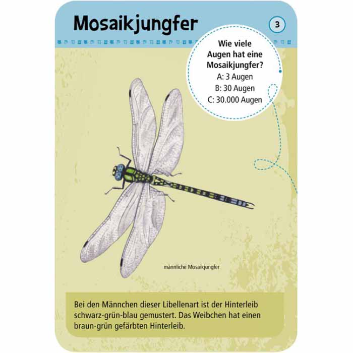 Vorderseite der Entdeckerkarte Mosaikjungfer aus dem Spiel 50 Insekten und Spinnen