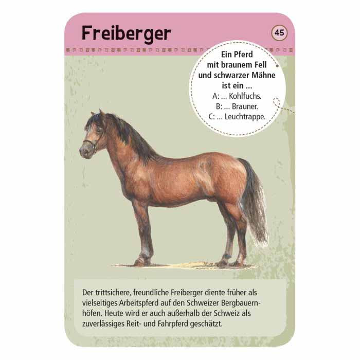 Vorderseite einer Entdeckerkarte aus dem Spiel 50 Pferde und Ponys