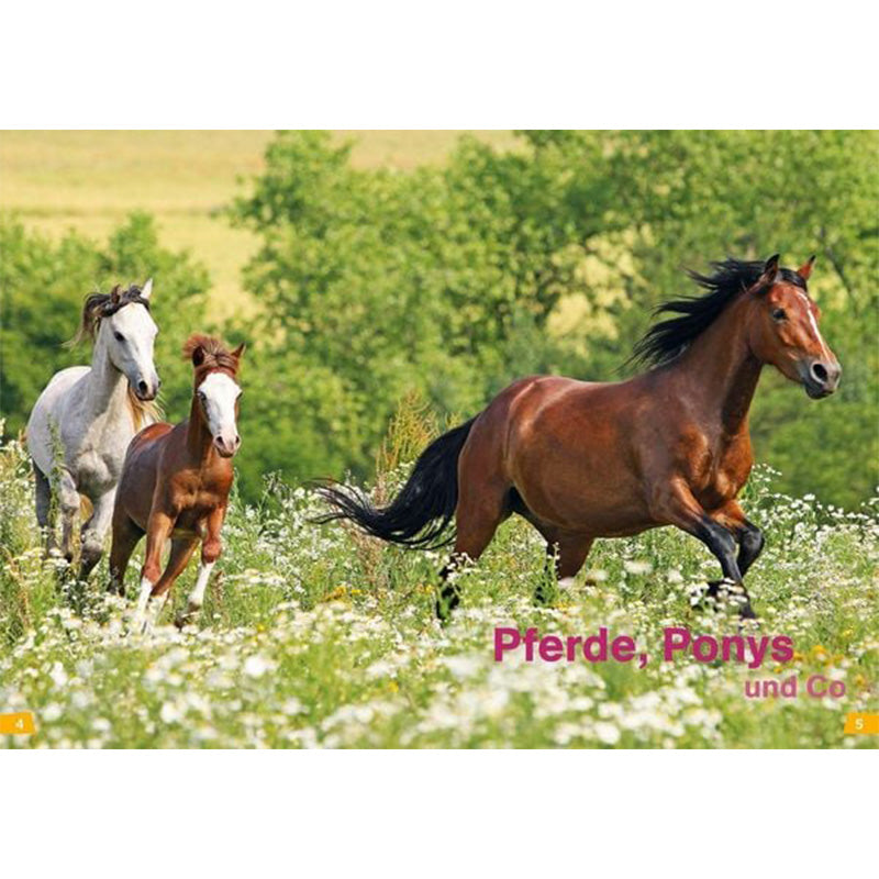 Buchseite: Drei Pferde, darunter ein Fohlen, galoppieren über eine blühende Wiese mit dem Titel „Pferde, Ponys und Co“.