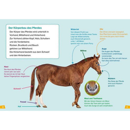 Buchseite: Ein Pferd in Seitenansicht mit beschrifteten Körperteilen wie Mähne, Schweif, Auge und Huf, auf hellblauem Hintergrund.