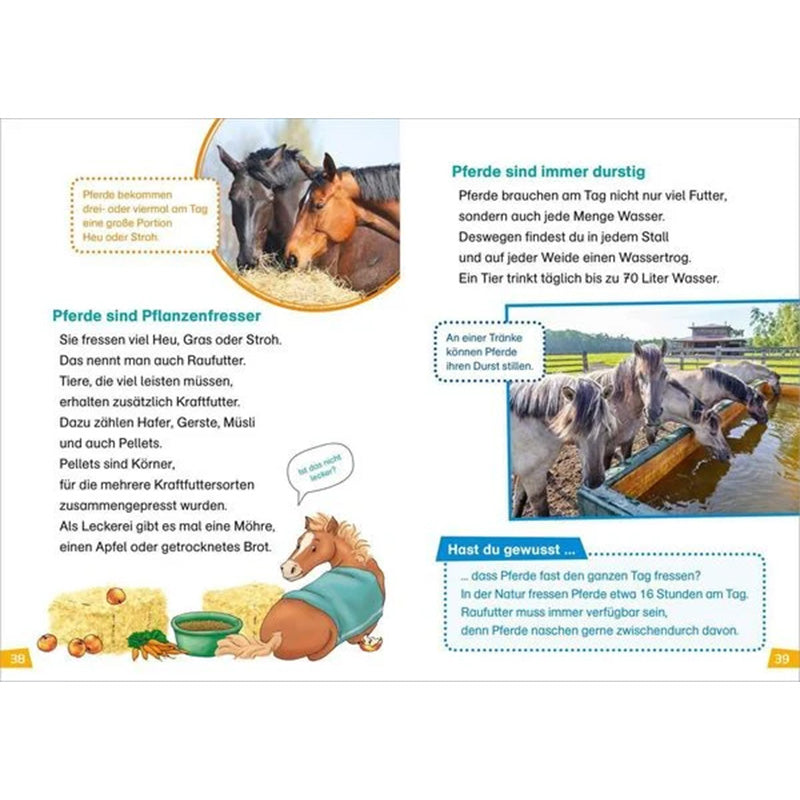 Buchseite: Fotos von Pferden beim Fressen und Trinken, mit Texten über Futter, Wasserbedarf und Ernährung von Pferden.