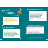 Buchseite: Illustrierte Fragen und Antworten mit dem Fohlen Ferdi über das Leben, Schlafen und Träume von Pferden.