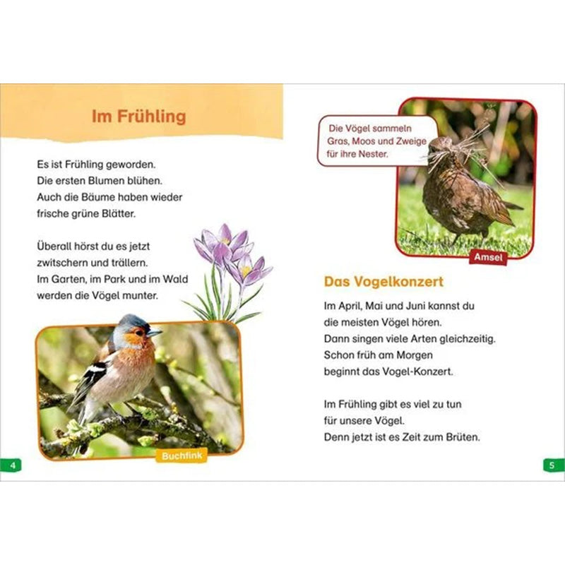 Buchseite mit Text über Frühling und Vogelkonzert, dazu Fotos von Buchfink und Amsel im Grünen.