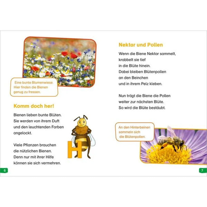 Buchseite. Verschiedene Pflanzen und ein Blütenfeld werden gezeigt, dazu eine Illustration einer Honigbiene. Texte erklären, dass Bienen Nektar und Pollen sammeln und bunte Blüten anfliegen.