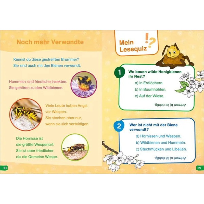 Buchseite. Links Bilder von Hummel, Wespe und Hornisse, rechts ein Lesequiz mit zwei Fragen über Bienen und ihre Verwandten.