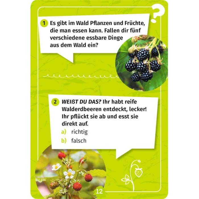 Inhaltsseite Beeren aus dem Wald-Forscherquiz für Kinder