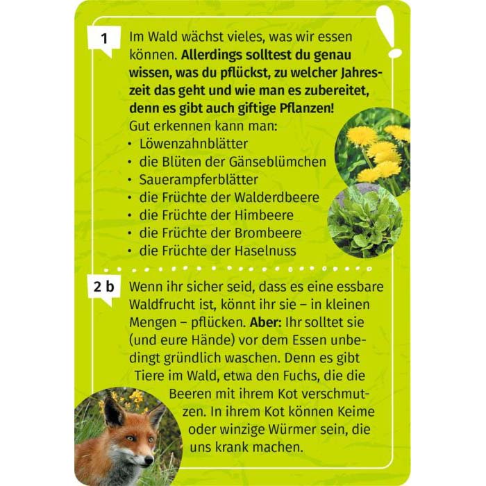 Inhaltsseite aus dem Wald-Forscherquiz für Kinder