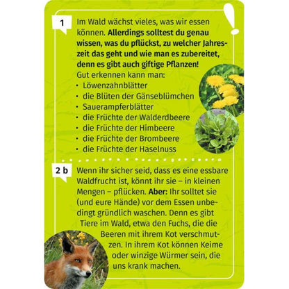 Inhaltsseite aus dem Wald-Forscherquiz für Kinder