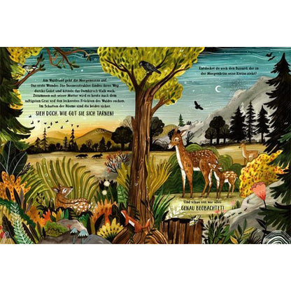 Eine farbenfrohe Doppelseite zeigt den Morgen im Wald. Sonnenlicht fällt durch die Bäume, während Rehe und Kälber im Gras stehen. Der Text lädt Kinder dazu ein, die Tiere zu entdecken und zu beobachten, wie gut sie sich tarnen.