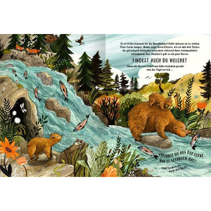 Eine Szene am Fluss: Eine Bärenfamilie fischt nach Lachsen, während Vögel, Füchse und Schmetterlinge in der Umgebung zu sehen sind. Die Seite fragt die Leser spielerisch, ob sie Fische und andere Tiere entdecken können.