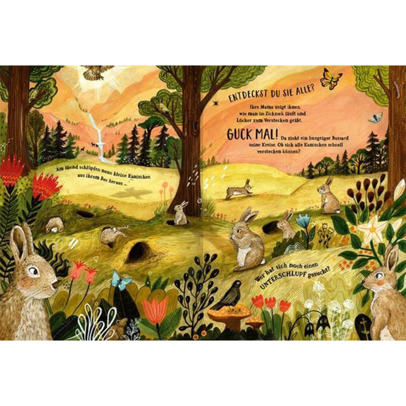 Eine abendliche Wiesenlandschaft mit Kaninchen. Viele kleine Hasen hoppeln umher oder verstecken sich in ihren Bauen, während der Himmel orange leuchtet. Der Text fordert die Kinder auf, alle Kaninchen zu finden und zu zählen.