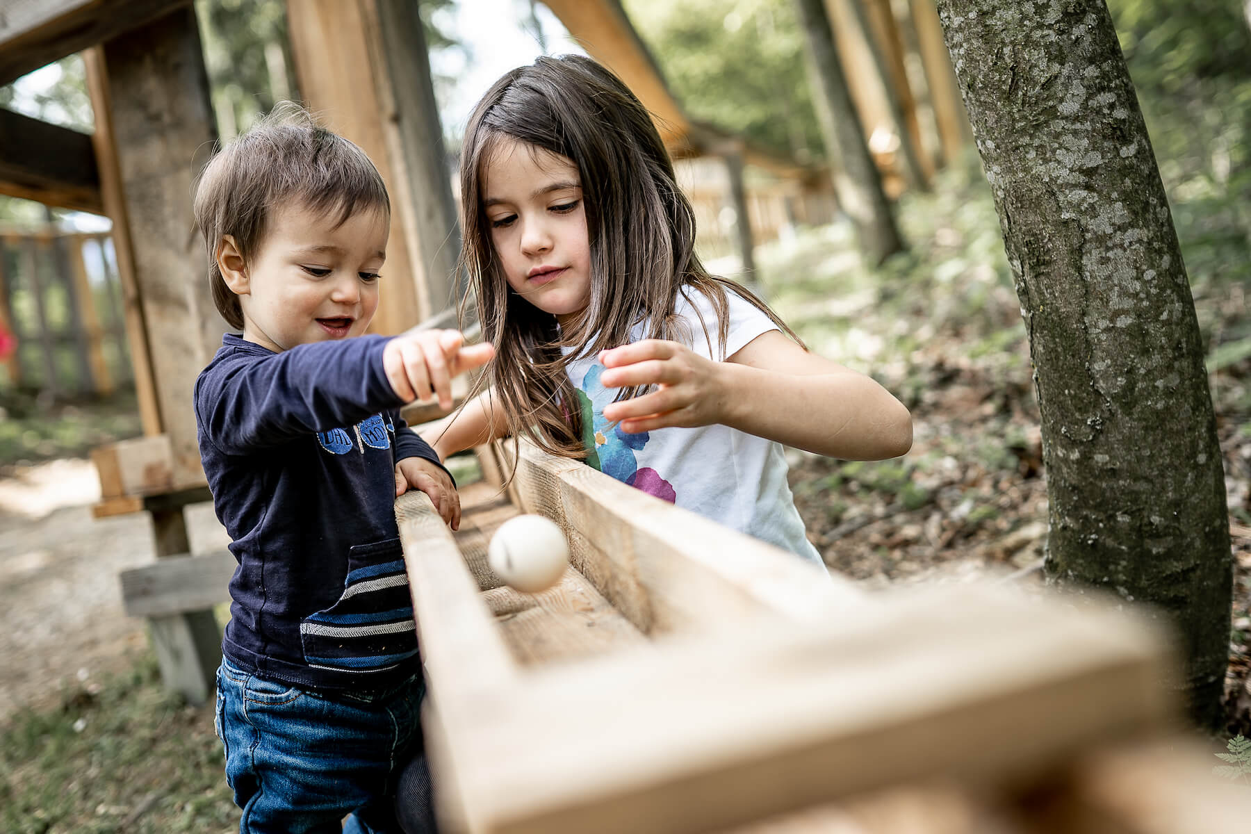 Waldkugelbahn für jedes Alter
