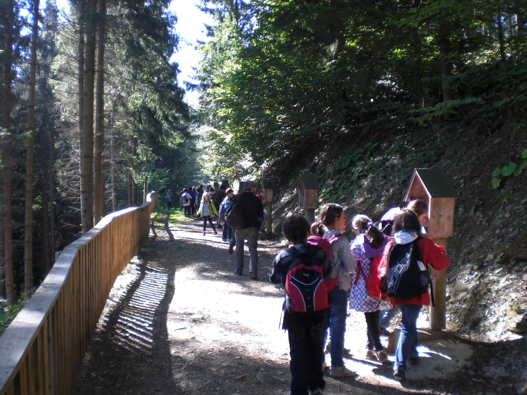 Waldpark Ausfflug Volksschule