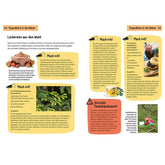 Doppelseite aus einem Naturbuch mit Rezeptideen und Mitmach-Tipps: links Nüsse, Tannenspitzen und Rezepte, rechts Heilkräutertee, Heidelbeer-Rezept und Warnhinweis vor Fuchsbandwurm, Fotos und Illustrationen von Pflanzen und Kindern im Wald.
