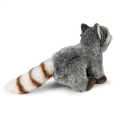 Rückansicht des Plüschwaschbären mit betontem buschigen, braun-weiß geringeltem Schwanz.