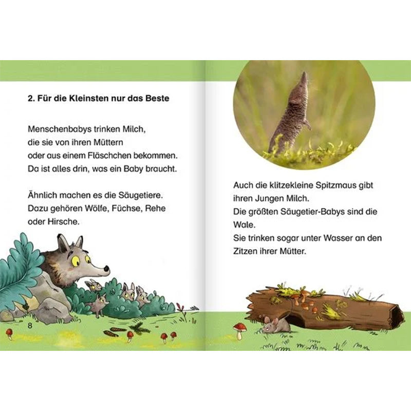 Doppelseite aus dem Kinderbuch Tierkinder im Wald von Peter Wohlleben. Kapitel 2 „Für die Kleinsten nur das Beste“. Links ein Text über die Milch, die Menschenbabys und Säugetierbabys wie Wölfe, Füchse, Rehe oder Hirsche von ihren Müttern bekommen. Illustrationen zeigen einen Wolf zwischen Bäumen und Pilzen. Rechts ein Foto einer Spitzmaus sowie eine Zeichnung eines Baumstamms mit Tieren. Der Text erklärt, dass auch Spitzmäuse Milch geben und die größten Säugetierbabys die Wale sind, die sogar unter Wasser 