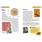 Buchinnenseite – Expedition in die Natur: Jahresringe und Winterpause bei Bäumen.