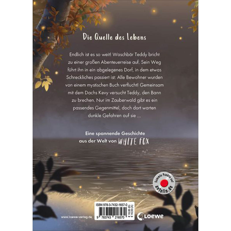 Buchrückseite – Text über Waschbär Teddy und sein Abenteuer im Zauberwald, mit funkelndem See im Hintergrund.