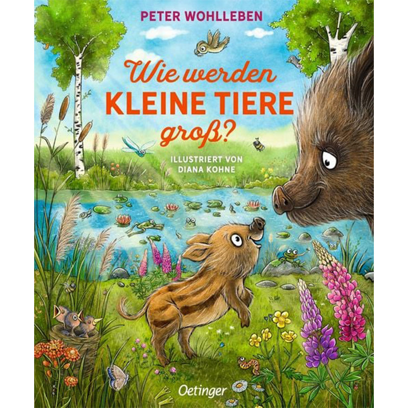 Bunt illustriertes Kinderbuchcover „Wie werden kleine Tiere groß?“ von Peter Wohlleben, illustriert von Diana Kohne. Im Vordergrund ein fröhliches Wildschwein-Frischling, das zu seiner Mutter aufblickt. Im Hintergrund ein Teich mit Seerosen, bunten Blumen, Bäumen und fliegenden Insekten.