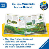 Innenseite – aufgeschlagenes Buch mit Illustrationen zum Thema „Von den Wurzeln bis zur Krone“.